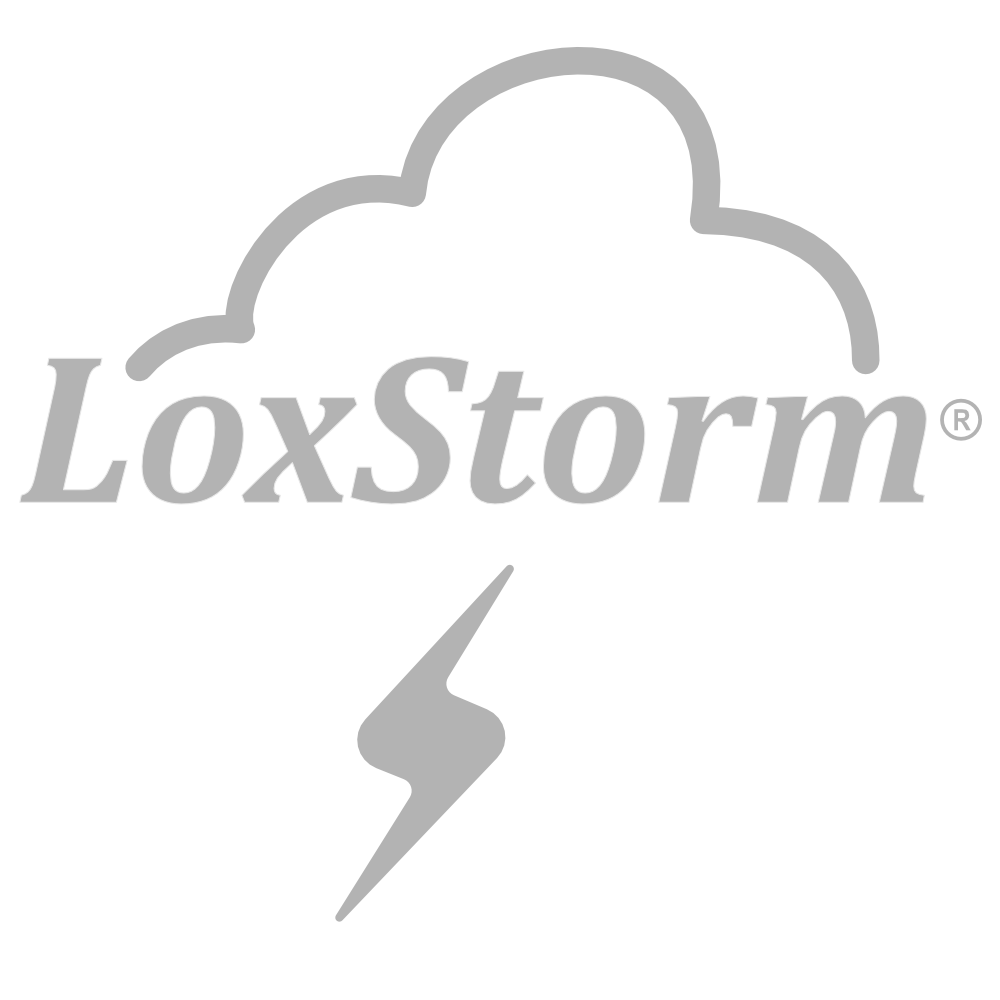 Blitzschutz-Konzepte (LOXSTORM)