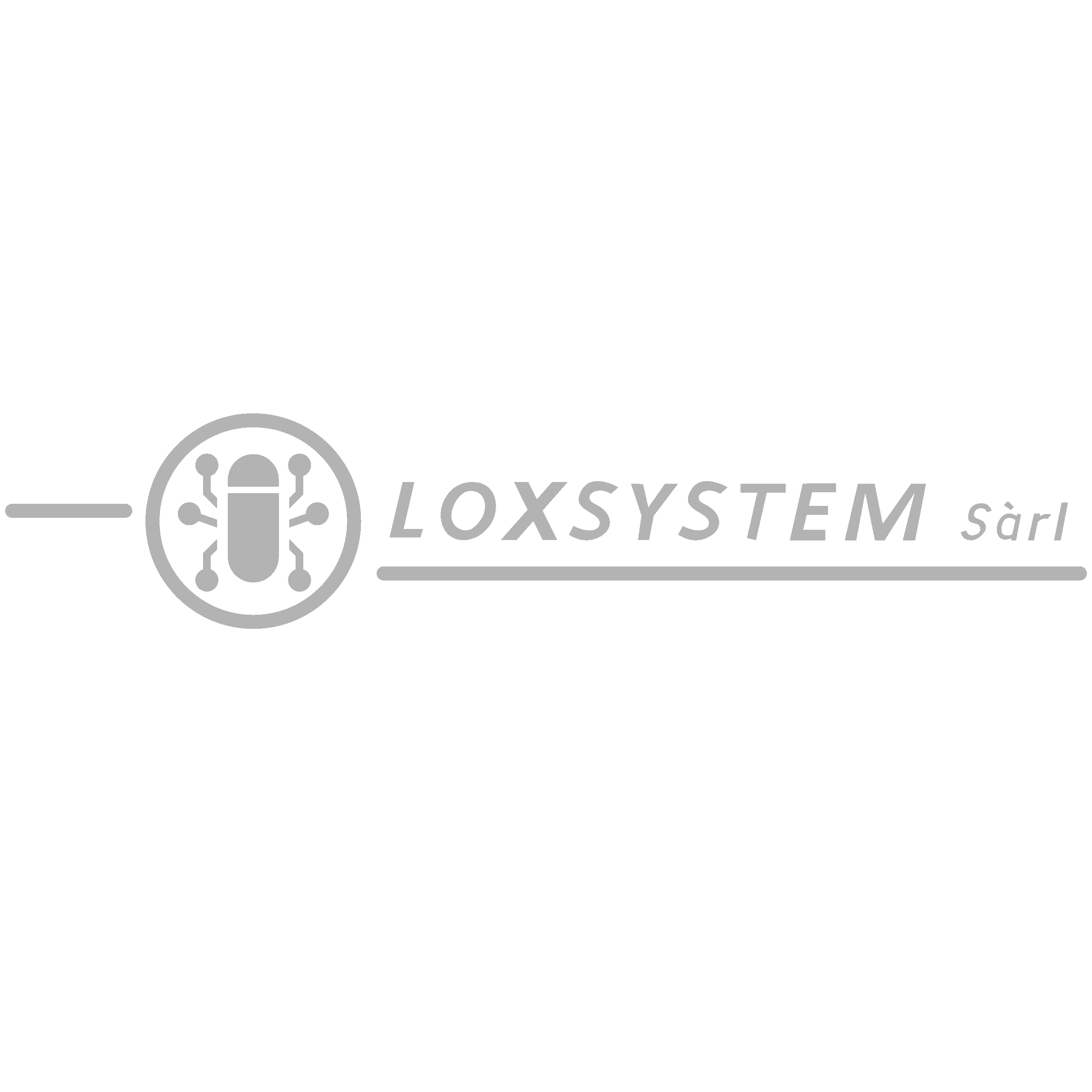 Industrieautomation (LOXSYSTEM)