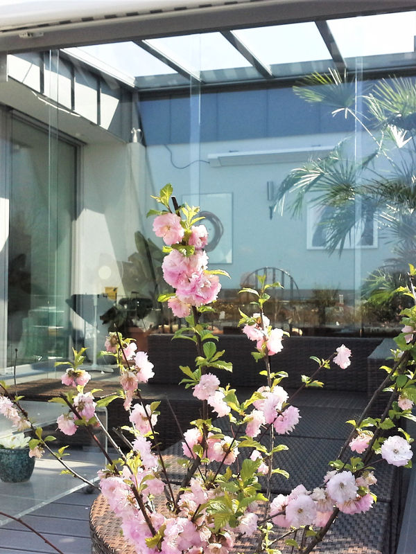 Glas ums Haus