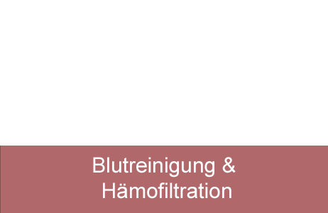 Nahrungsergänzung (Granulat, Kapseln, Tabletten)