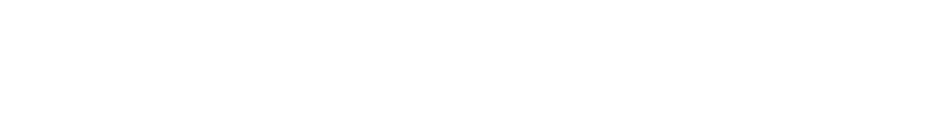 ZWP Pritzwalk Logo