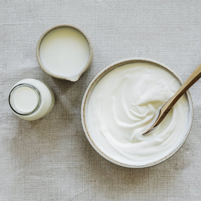 Joghurt und Milch