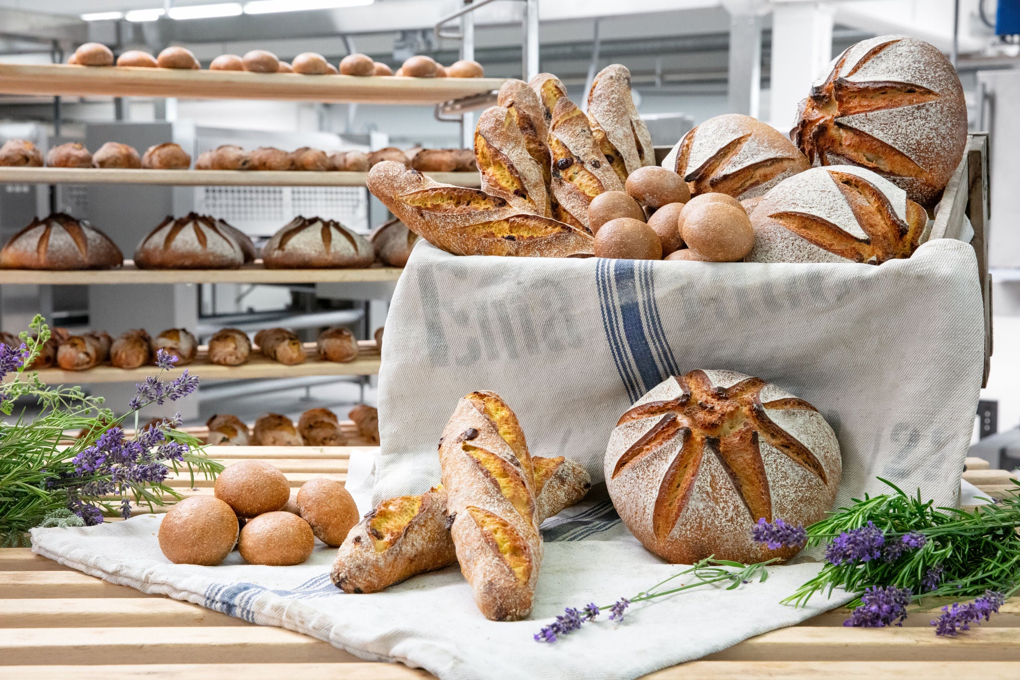 Brot- und Gebäckvielfalt von FRITSCH-Linien