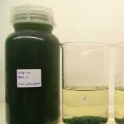 Laborversuch mit repräsentativem Abwasser