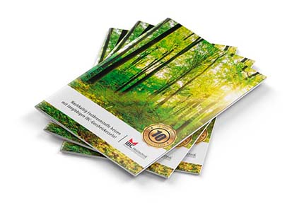 Product catalogs & downloads