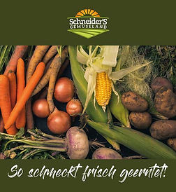 Produktfolder Deutsch