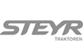 Steyr