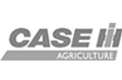 Case Construction