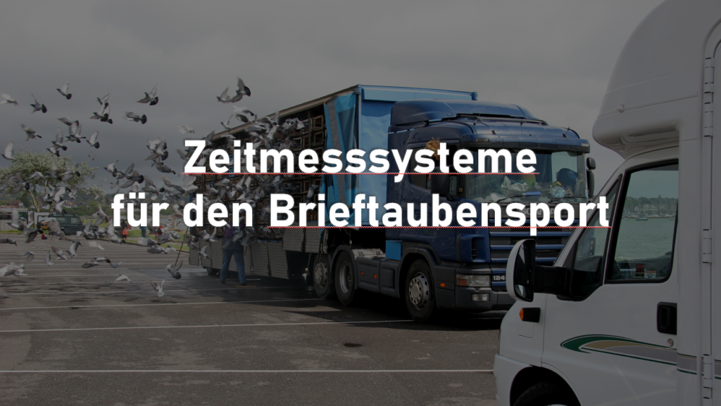 Benzing Brieftaubensport-Systeme