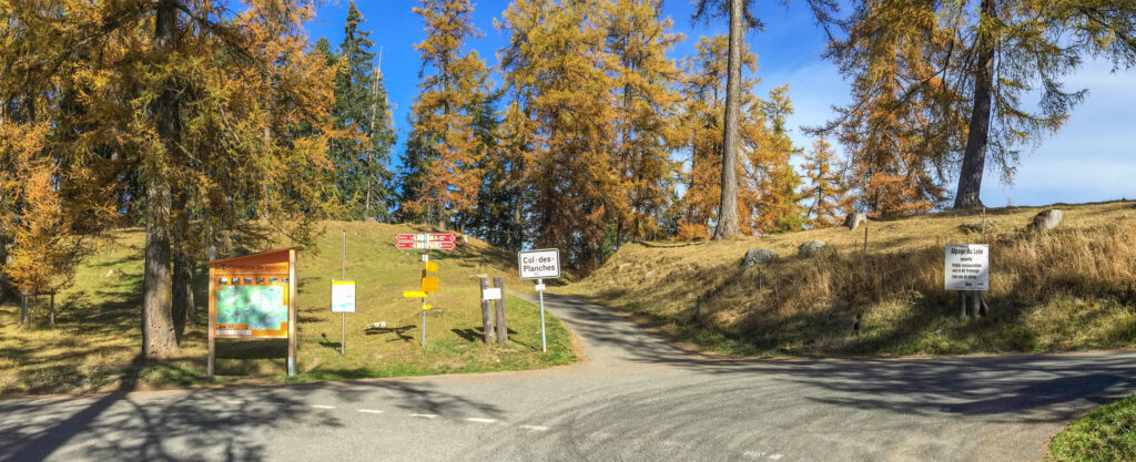 Waldweiden Mont-Chemin, Col du Lein