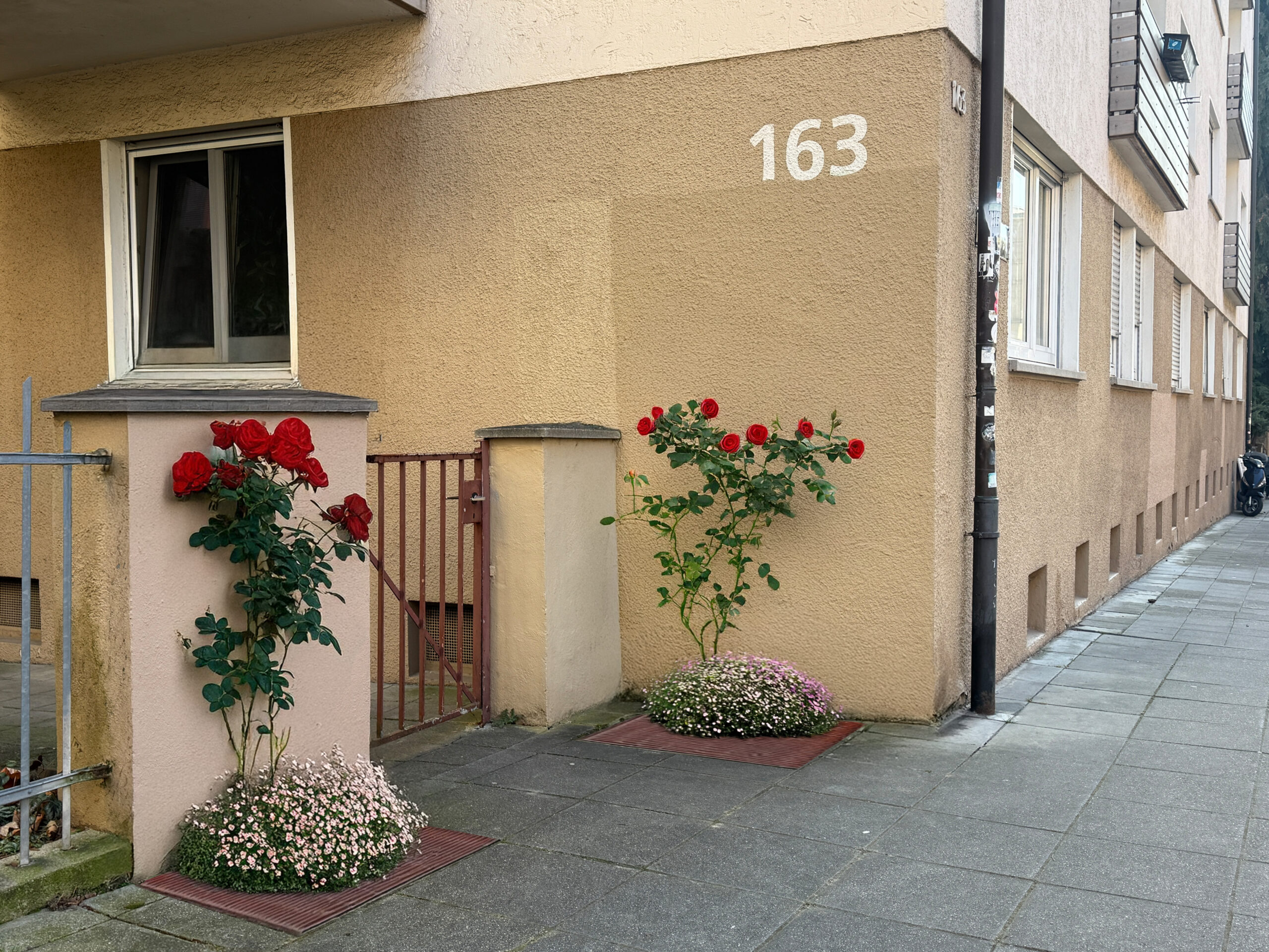 Begrünter Hausrandstreifen