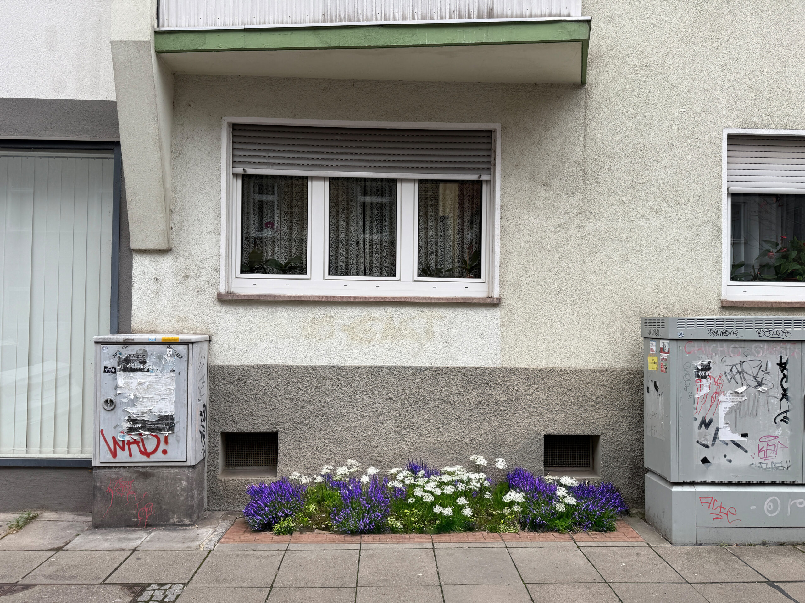 Begrünter Hausrandstreifen