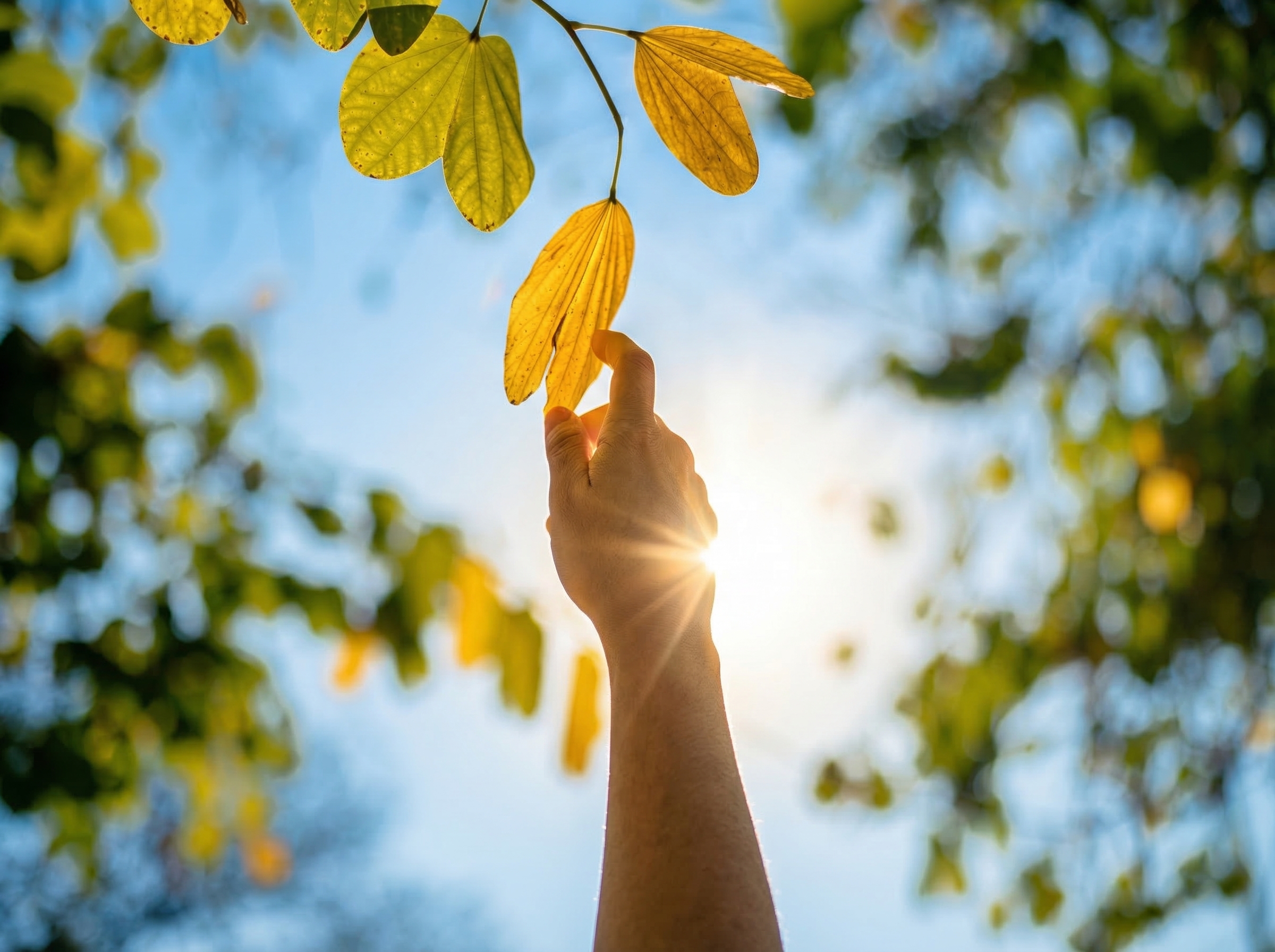 Naturbezogenes Design – Motiv Herbstlaub