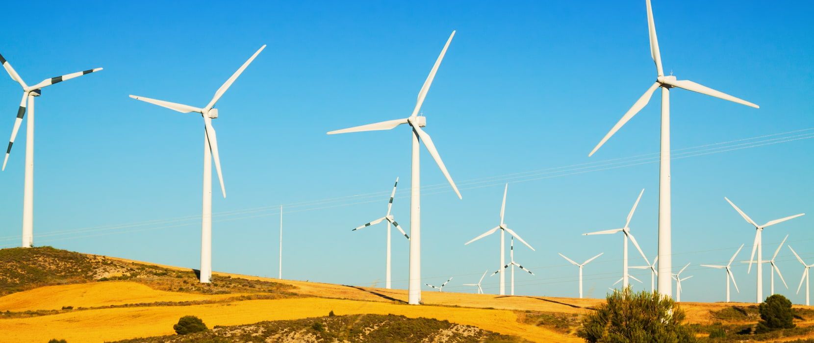 PPC Wind