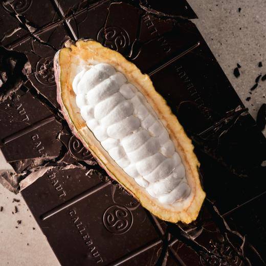 Barry Callebaut – About Us