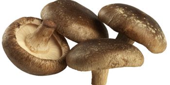Shiitake