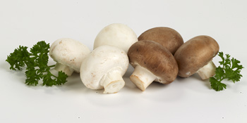 Champignons (white, brown, organic; also sliced)