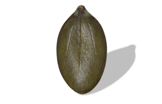 Pumpkin seeds (Grade A, Bakery, chopped, grated)