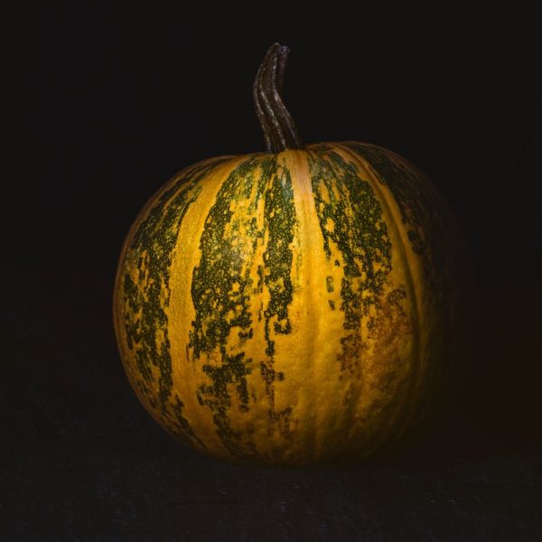 Pumpkin seed protein (flour/powder 0-2 mm)
