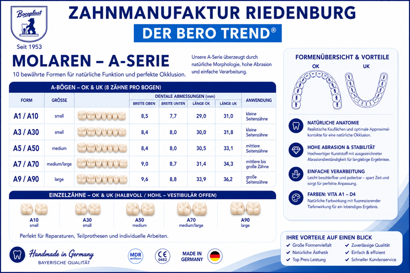 Seitenzähne und Molaren
