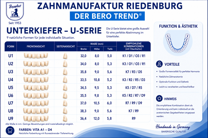 U-Reihe Unterkieferzähne (U1–U9)
