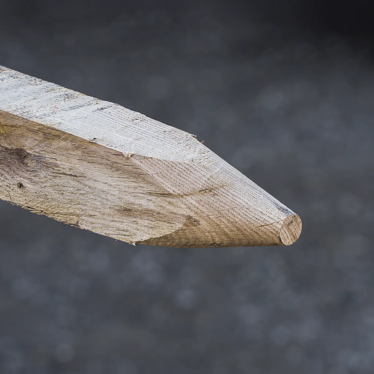 Holzpfahl aus Eiche, angespitzt
