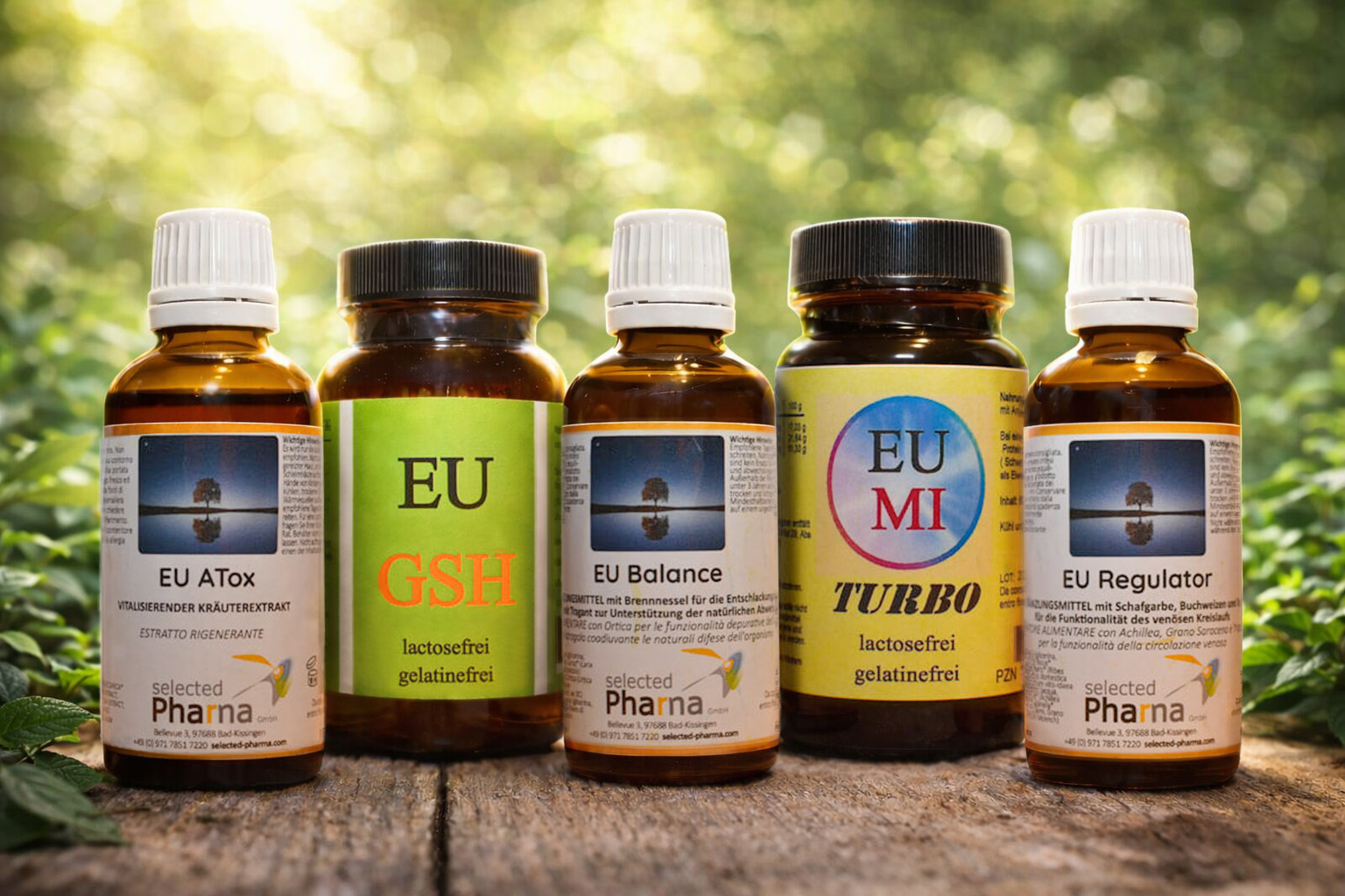 Detox-Bundle