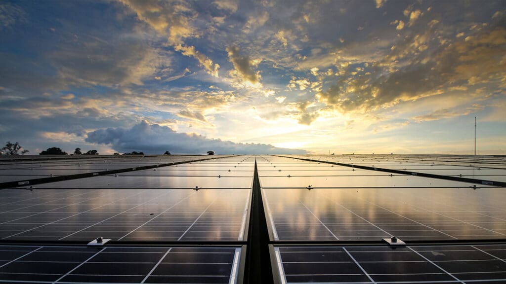 Feld mit Photovoltaik-Modulen – 30-Tage-Preisgarantie