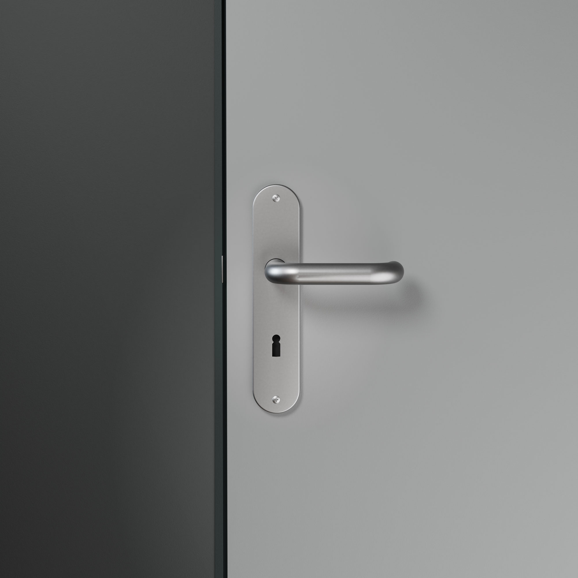 Türbeschlag mit Schild, Stahl/Aluminium