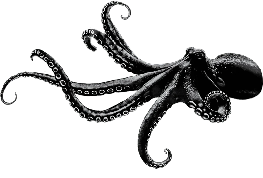 Branding: Wir wandeln Strom wie der Oktopus seine Gestalt