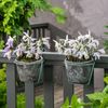 Garten Orchideen
