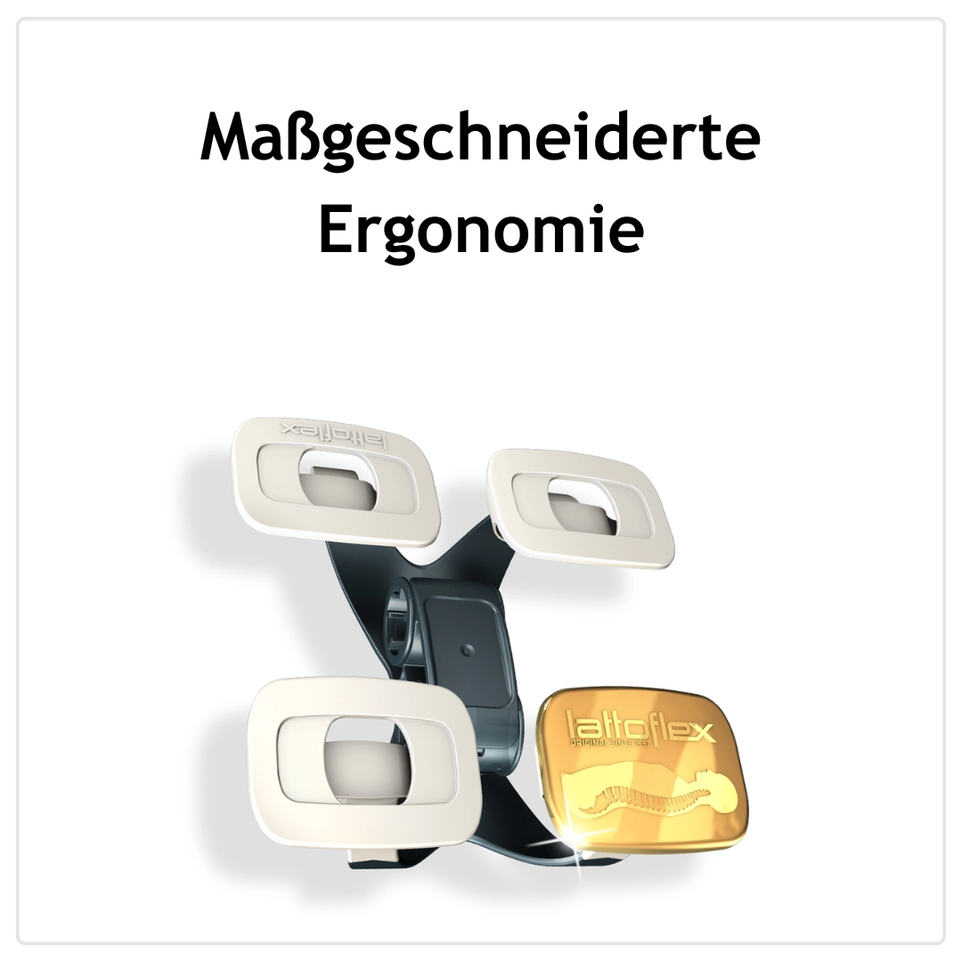 Lattoflex 300 – Flügel-Unterfederung (3D-Flügel mit Drehleiste)