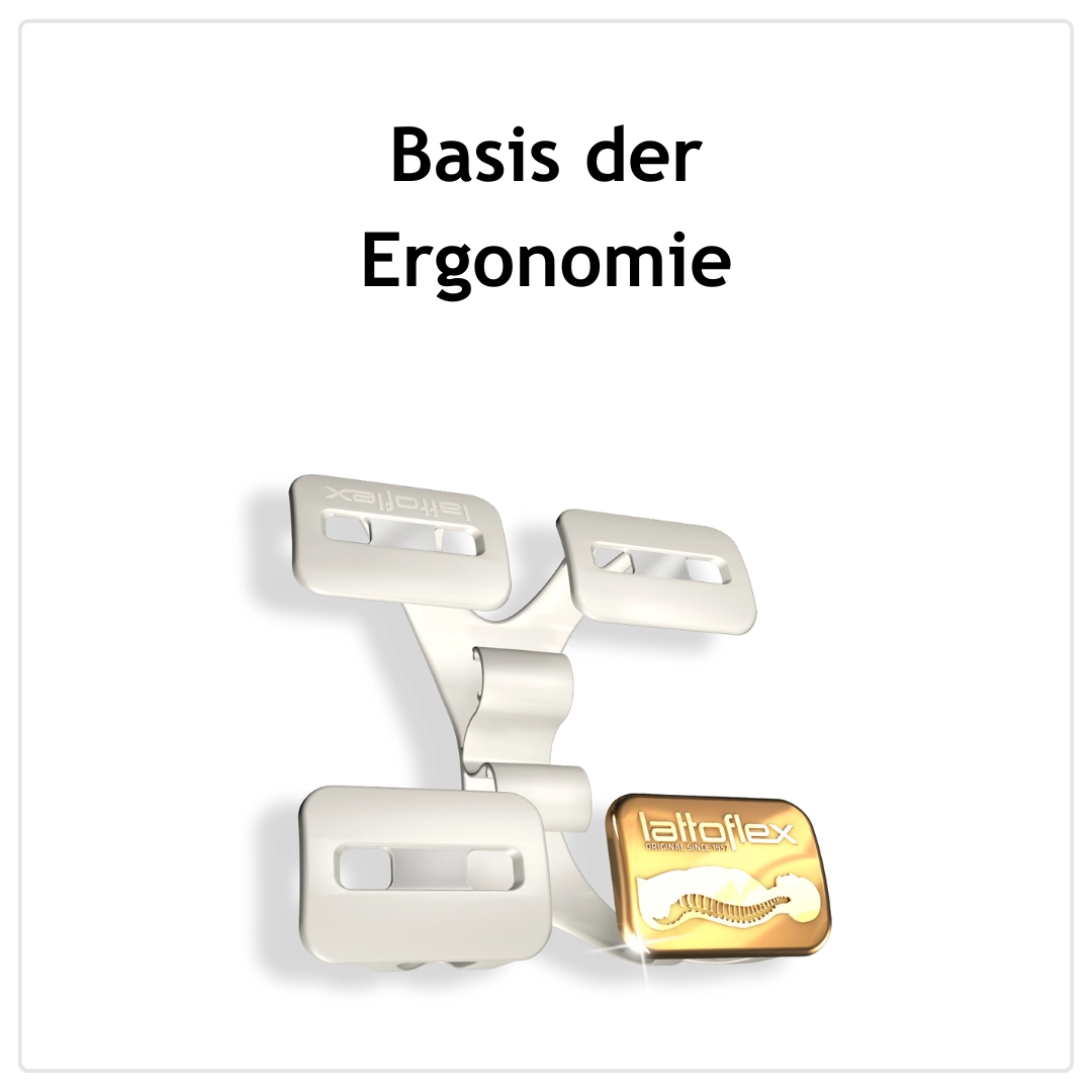 Lattoflex 200 – Flügel-Unterfederung (2D-Flügel)