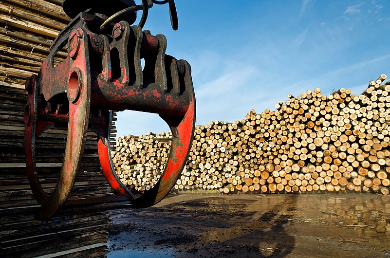 Förderkette für die Holzindustrie