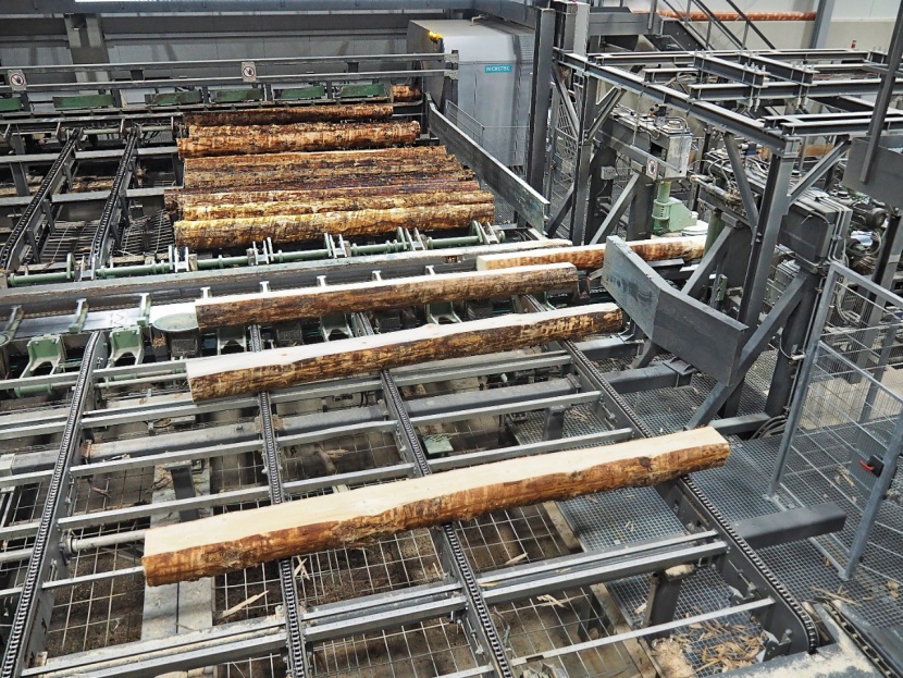 Zuführung am Sägewerk