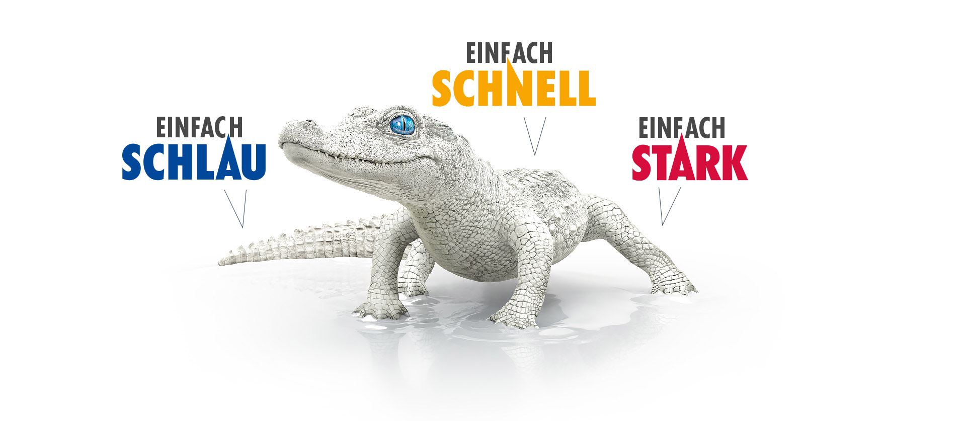 Unternehmensprofil ALLIGATOR FARBWERKE