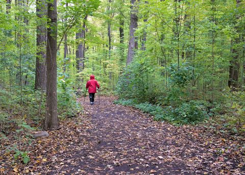 Beratung bei Albers de Voetspecialisten