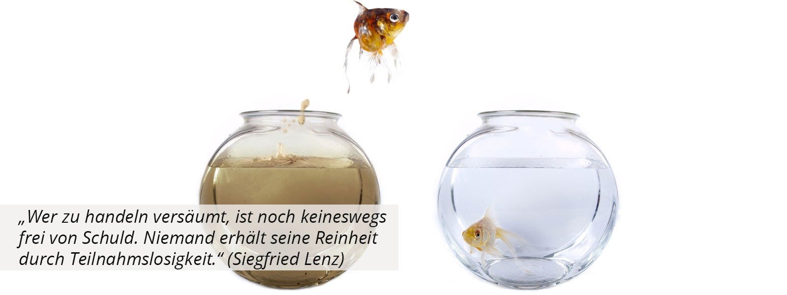 Maschinenreinigung