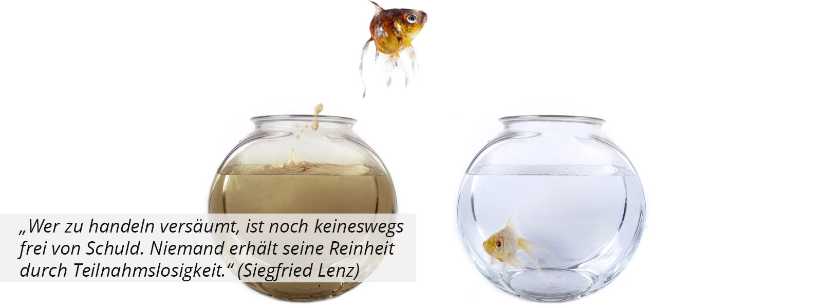 Maschinenreinigung