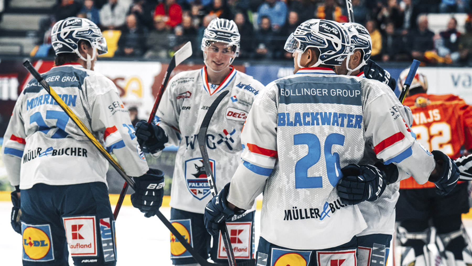 Heilbronner Falken – Sponsoring-Partnerschaft