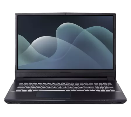 Laptops