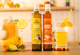 Bio-Sirup (Holunder-Traube-Punsch)