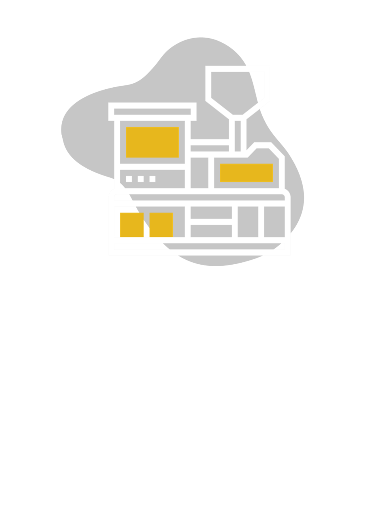 Packing Solutions