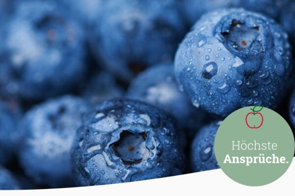 Frische Blaubeeren mit Tautropfen