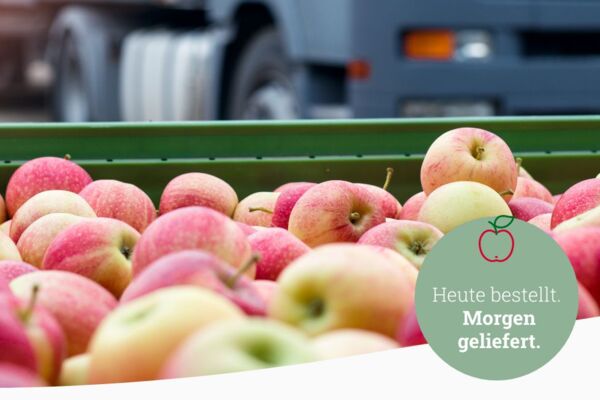 Frisch geerntete Äpfel in Kiste vor Auslieferungsfahrzeug