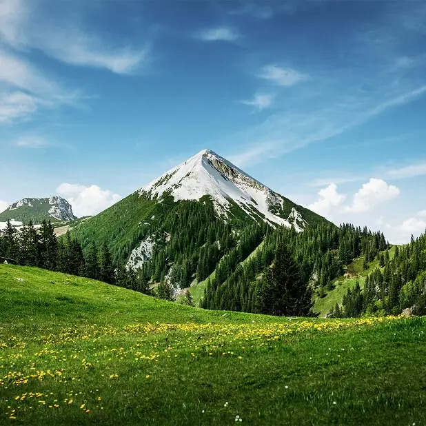 Alpenhain – Fertigung