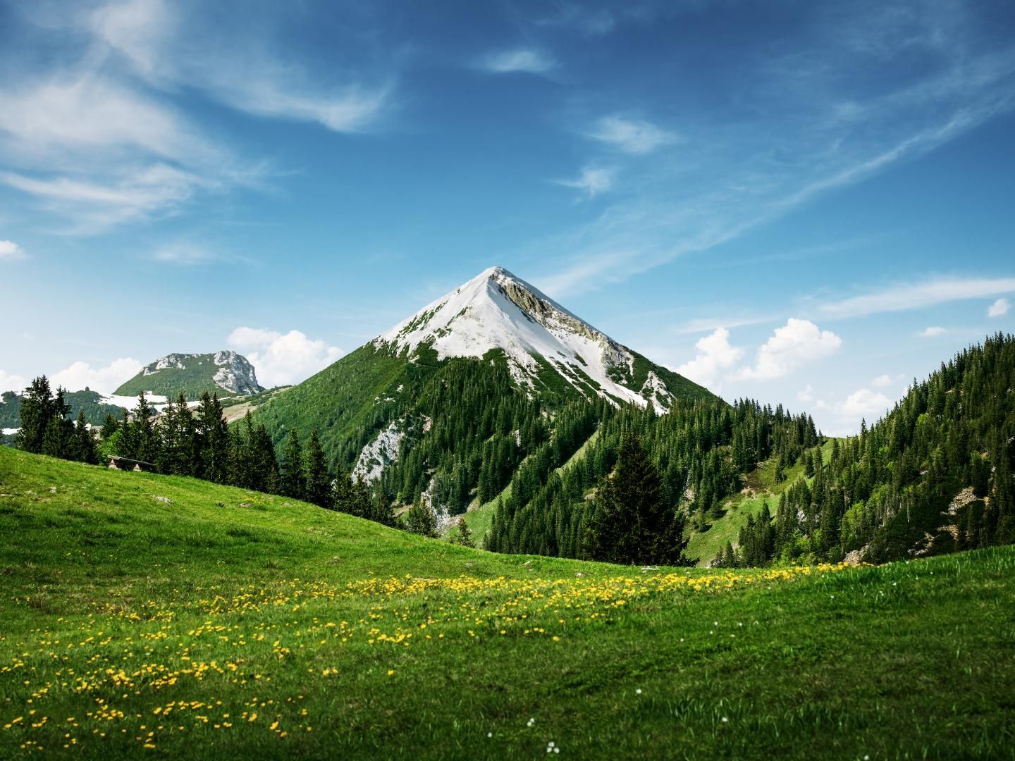 Alpenvorland – Heimat der Milchlieferanten