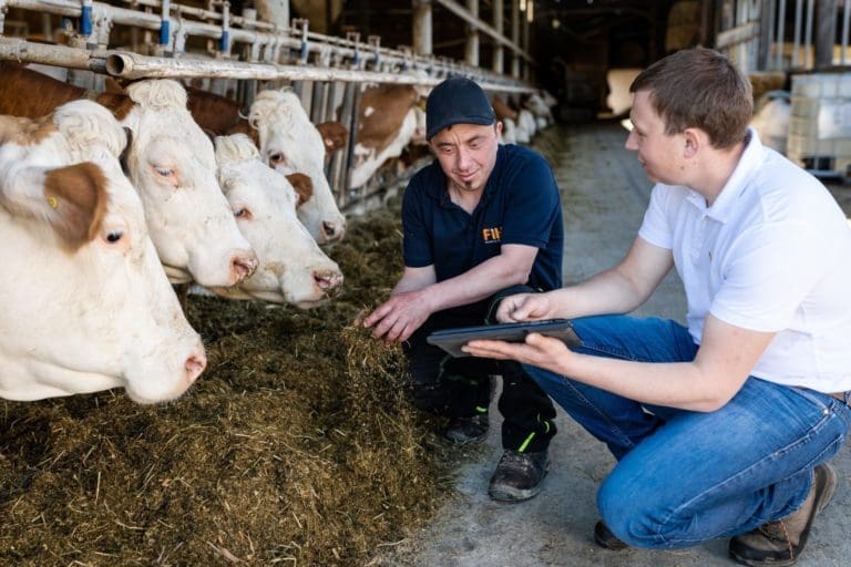 Grundfutterqualität im Fokus