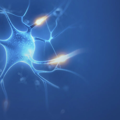 Neuromodulationstherapie