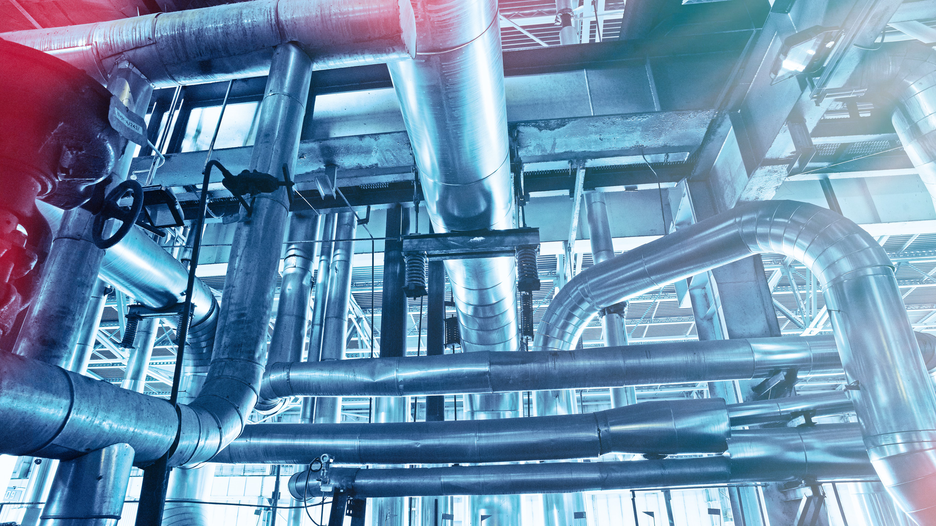 Lösungen für die Lebensmittelindustrie